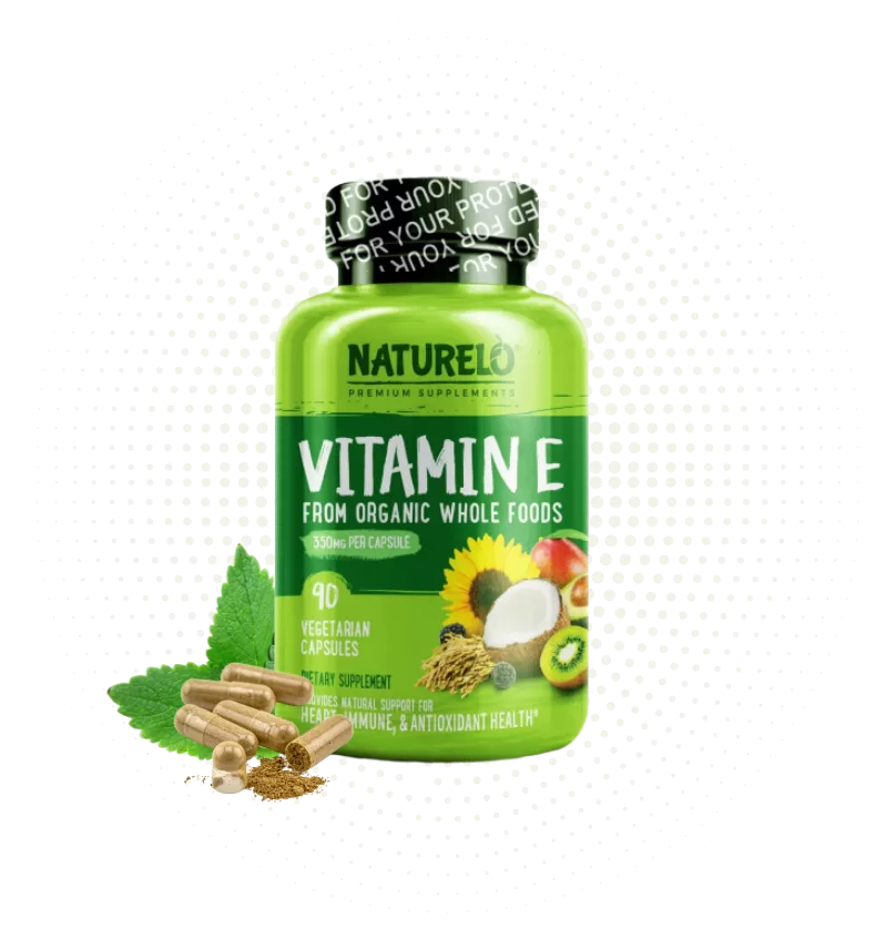 Giới thiệu The Lightning Fatburner